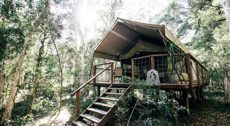 How Paperbark Camp manages the next normal