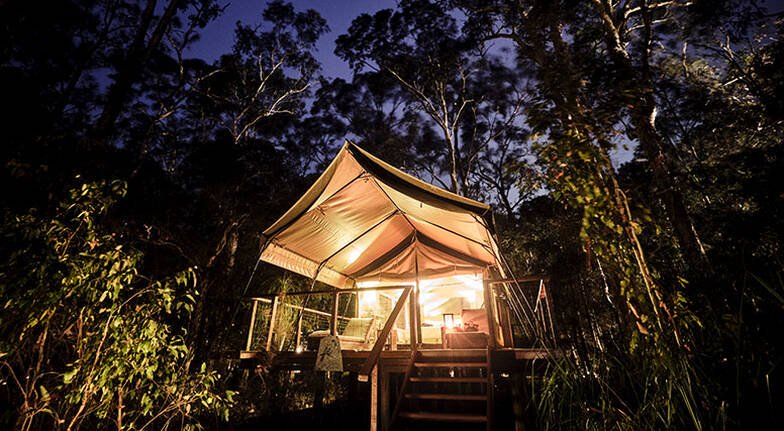 How Paperbark Camp manages the next normal