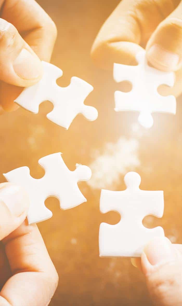 BRG Leadership Principles - We contribute