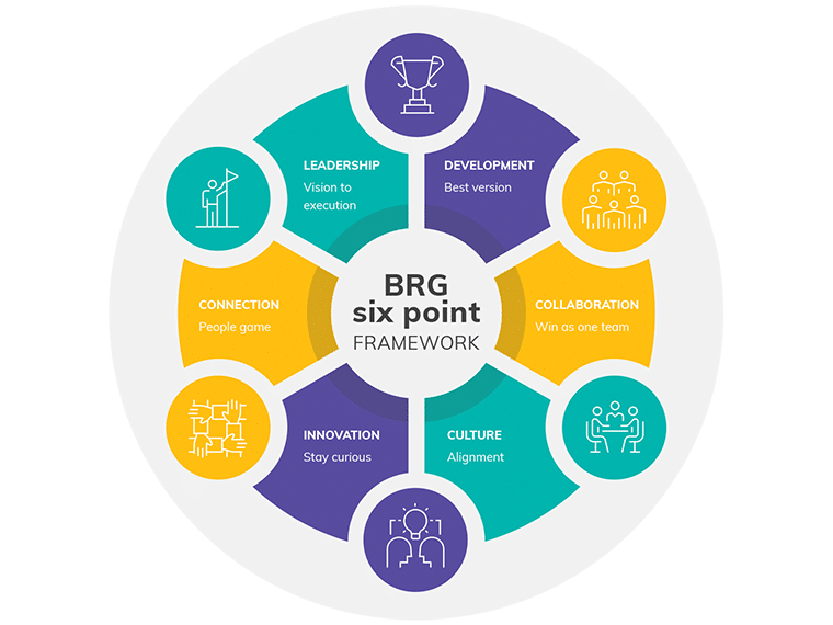 BRG six point framework