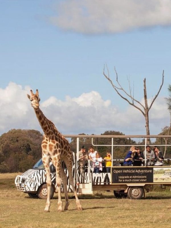 Zoos Victoria