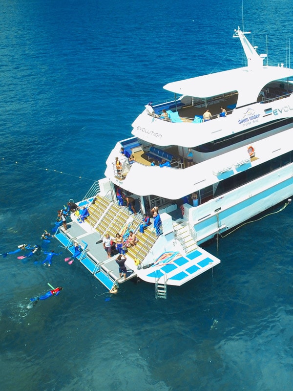 Down Under Cruise and Dive