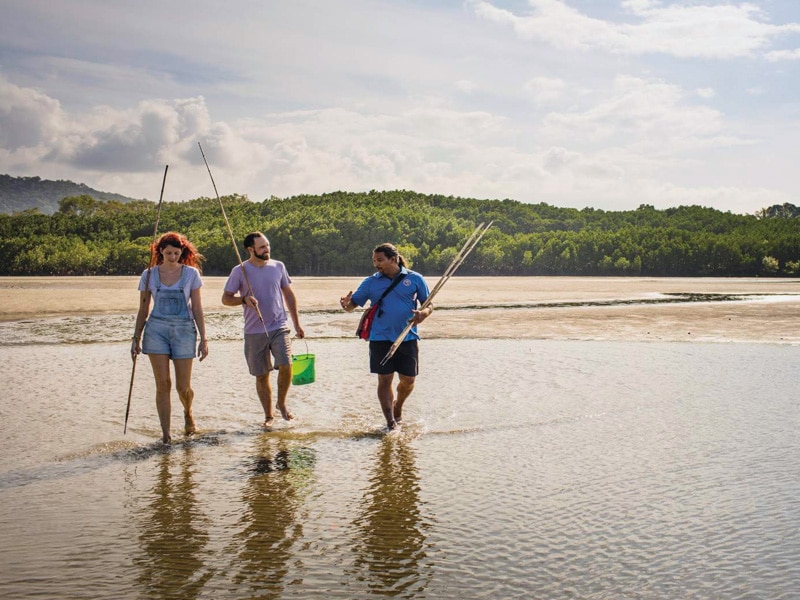 Destination Cairns Marketing's joint venture with Big Red Group