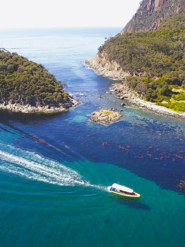 Bruny Island Tour