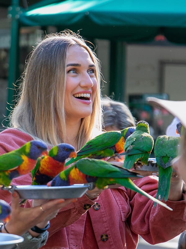 Currumbin Wildlife Sanctuary