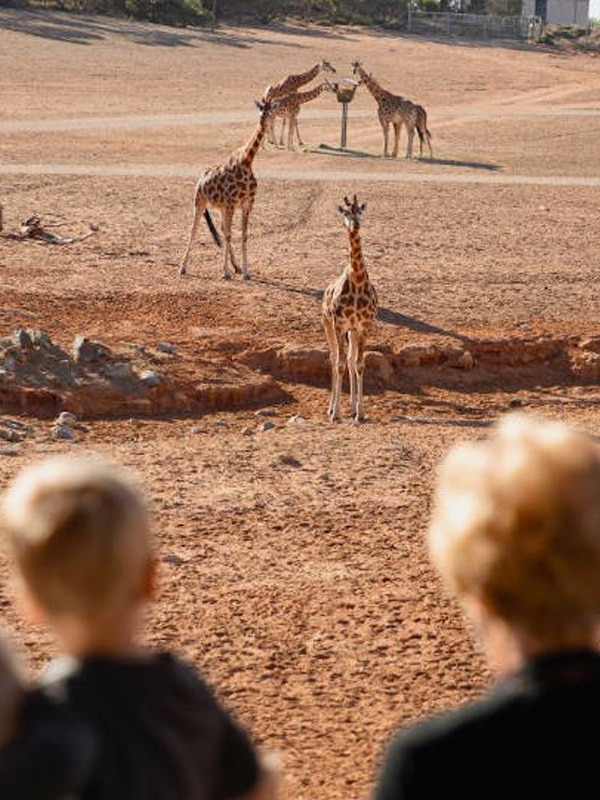 Monarto Safari Park