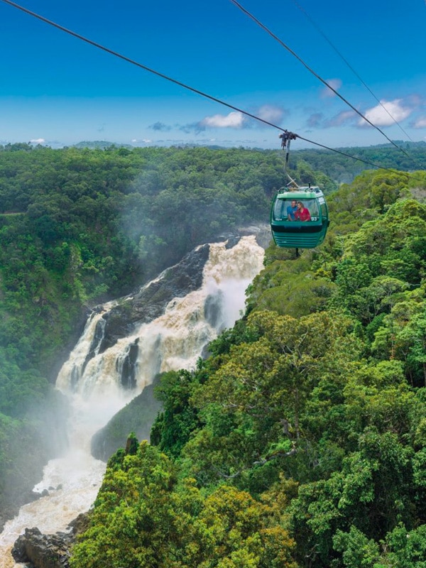 Return Skyrail Rainforest Cableway
